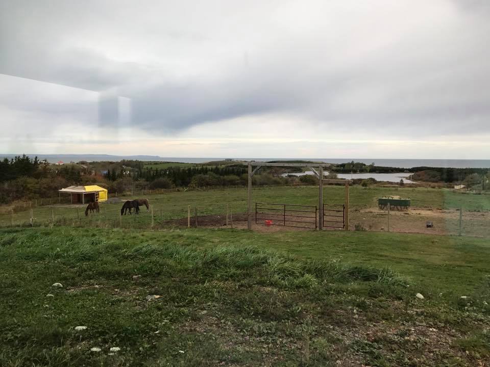 23316272_1752275598117043_8251765397779662218_n